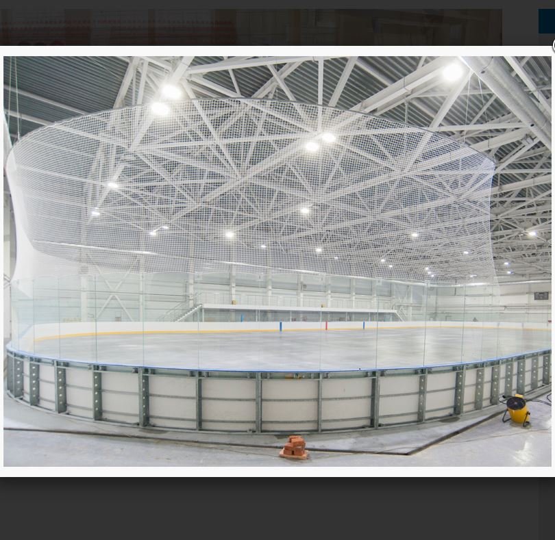 Professional ice hockey dasher boards